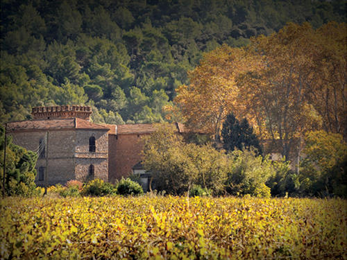 Wine Château La Forêt
