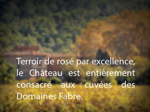 Wine Château La Forêt