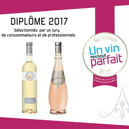 Un Vin Presque parfait ! Nos Cuvées Marie-Christine et Sully récompensées